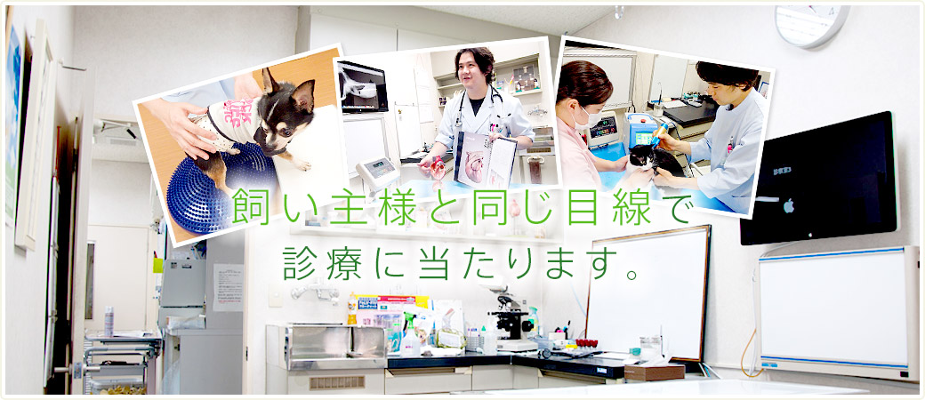 飼い主様と同じ目線で診療に当たります。